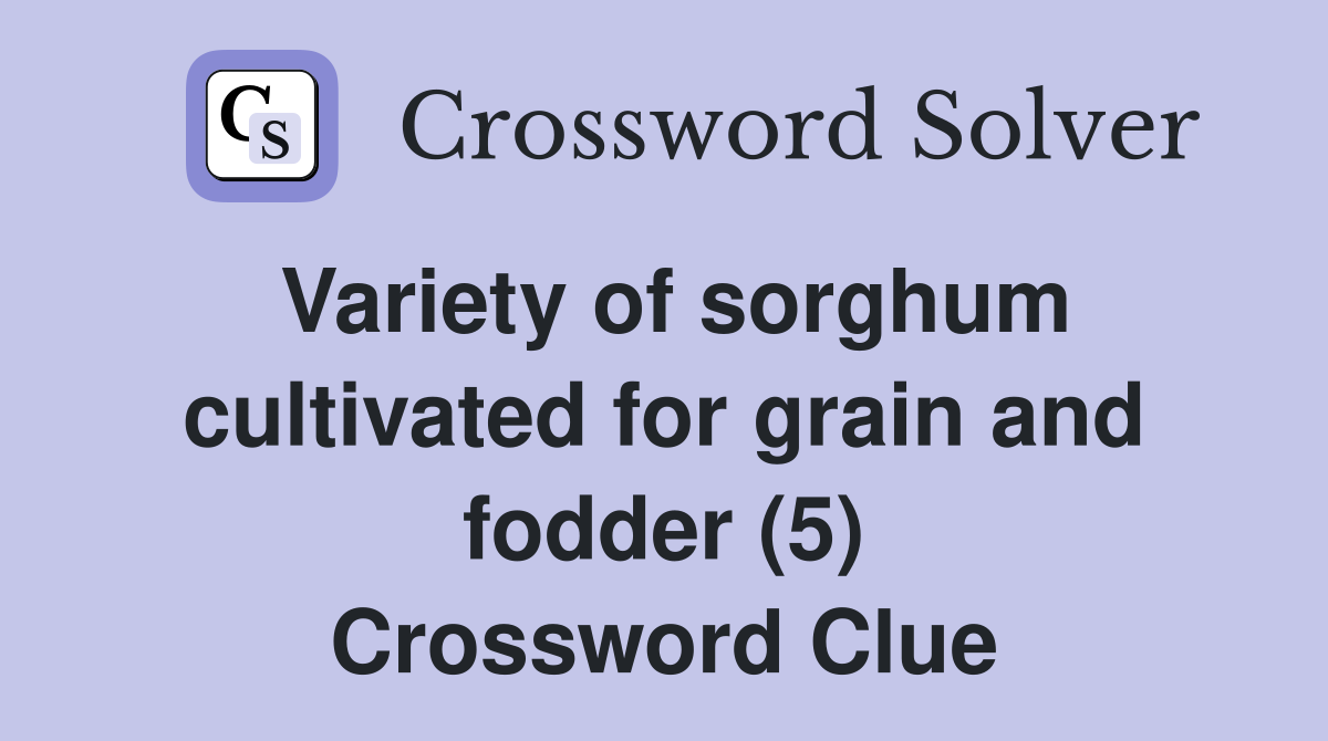 Variety of sorghum cultivated for grain and fodder (5) Crossword Clue